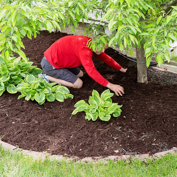 we offer a variety of mulch options for mulch installation including wood chips, bark, and straw